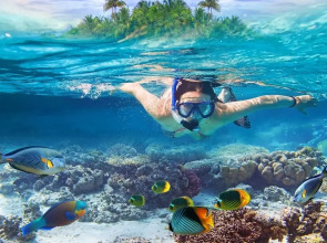 Гостевой дом Blue Wave Maldives