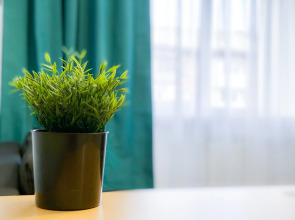 Апартаменты Unique Apart Малахит на Пролетарской 9 рядом с жд и автовокзалом