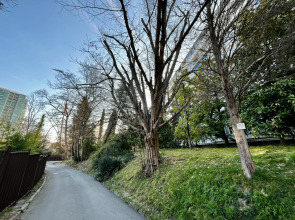 Апартаменты Светлана