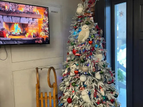 Апартаменты Chalet Terrazza