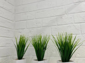 Апартаменты Уютная квартира с шикарным видом