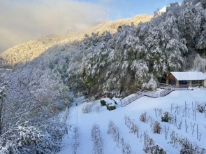 Апартаменты Услада