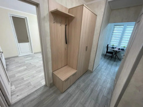 Квартира уютная на Академика Волгина