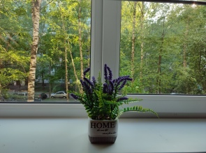 Апартаменты у Ледового Дворца