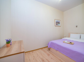 Апартаменты Вайнера 60 трехкомнатная