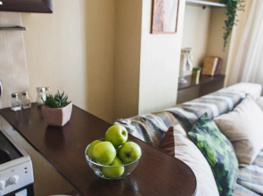 Апартаменты Династия Калинина 47К