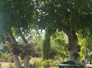 Гостевой дом Морская сказка