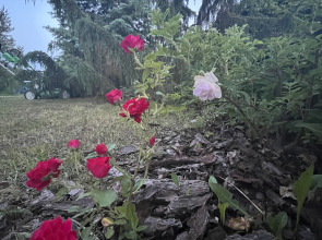 Гостевой дом Усадьба Ястребино