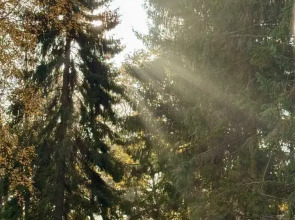 Апартаменты студия 719