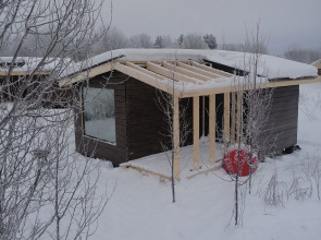 Глэмпинг Папоротник