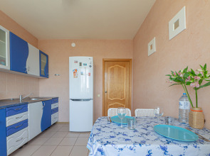 Апартаменты Исторический Центр Метро Горьковская