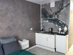 Квартира Атмосферная студия