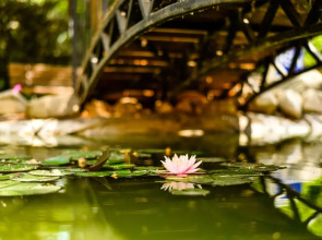 Гостевой дом Нева