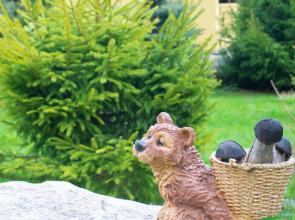 Гостевой дом Коттедж Лесной