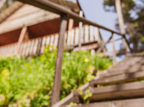 Гостевой дом АЛТАЙ БЕРЕГ ИП Рожнова Л.В.