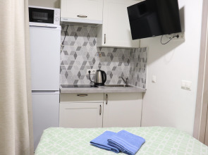 Апартаменты Studio Crocus 2 на Ильинском 2А