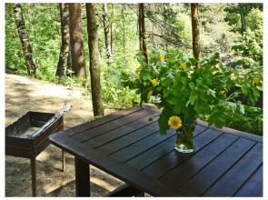 Частный дом Коробицыно