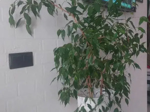 Квартира Трехкомнатная рядом с Кремлем