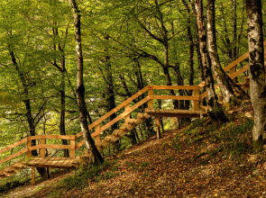 Бунгало Вилладж