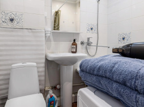 Квартира LS Чаша и Центр Семьи