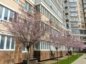 Апартаменты LYME на Конгрессной ВКК Экспоград Юг