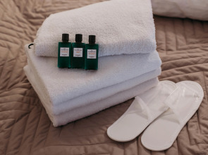 Апартаменты Alpine Urban Garden 3