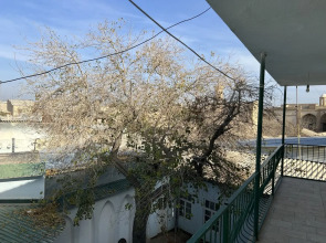 Отель Minorai Hurd