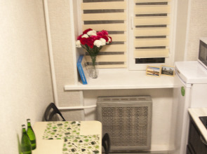 Апартаменты 1-комнатные с 1 спальней №3