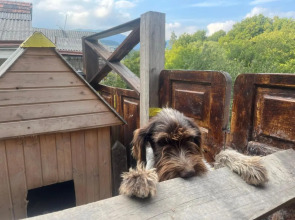 Хостел La Casa Dilijan