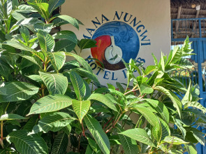 Гостевой дом MaNa Nungwi