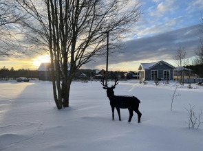 Шале Везувий