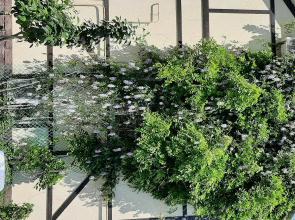 Guest House on Aivazovskogo 38