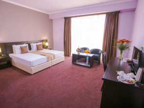 Отель Ani Central Inn