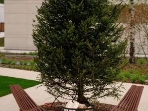 Апартаменты Ривьера апарт