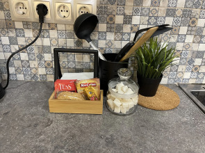 Апартаменты Ligov 1