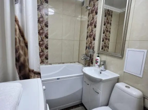 Апартаменты Центральный