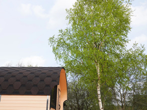 Дом Уютный в стиле Прованс