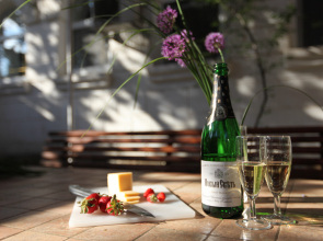 Апартаменты Голицына 19 1