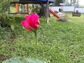 Гостевой дом Сказка