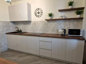 Апартаменты ЖК Альбатрос 12/16 на Поддубного 1