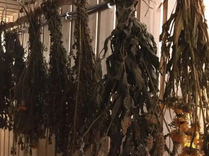 Гостевой дом Елки-палки