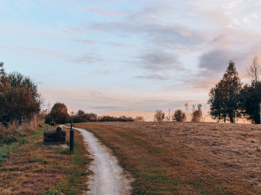 Кемпинг ForrestHome