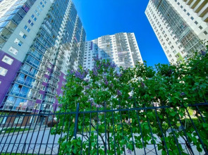 Апартаменты Розовый Шоколад