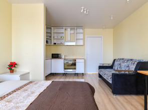 Апартаменты у Метро Ладожская