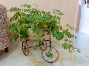 Гостевой дом Коржовъ