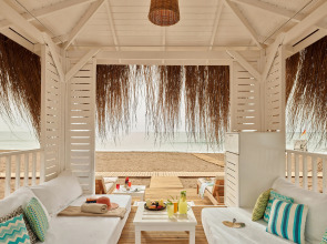 Lara Barut Collection