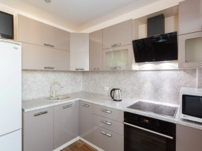 Апартаменты Живи Уютно у Ледового Дворца