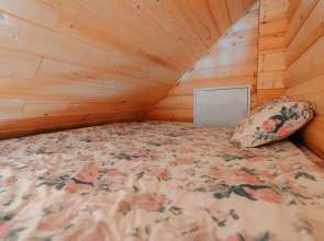 Гостевой Дом Замок в Лесу Пушкинские Горы