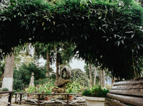 Отель Пицунда