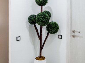 Апартаменты Mira.Apartments